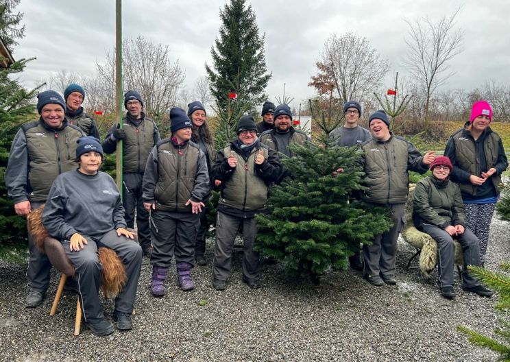 Christbaumverkauf und Weihnachtsmarkt am Gutshof Heidensand