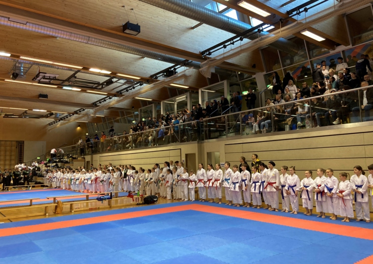 Volle Halle beim Karate-Lions-Cup