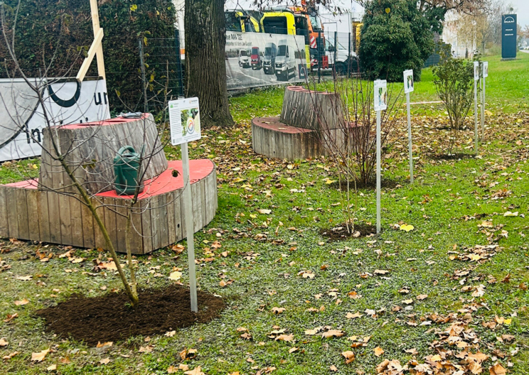 Gemeinsam für das Klima - Jugendliche pflanzen lebendige Naturhecke