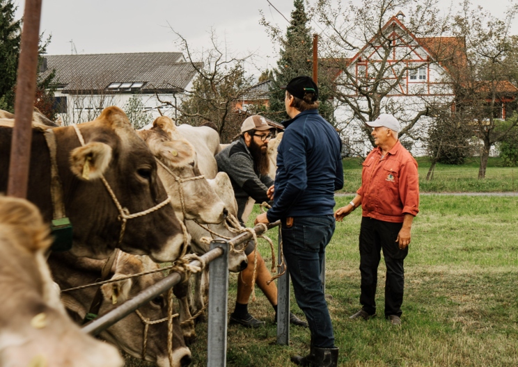 „Der Rinderzucht verpflichtet“ - 130 Jahre Viehgenossenschaft Lustenau