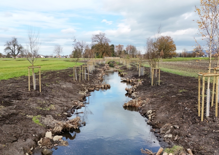 „Läobo schaffa“ - Revitalisierung am Neunerkanal