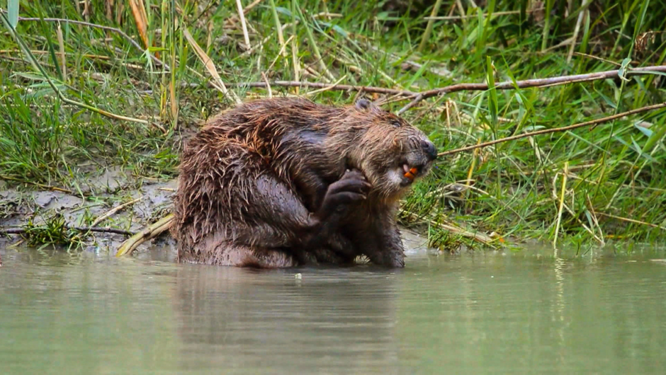 12 Doku Zahmer Wildbach (c) ORF Vorarlberg